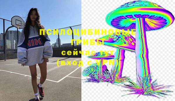 дживик Карпинск